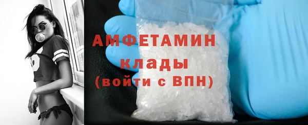 ГАЛЛЮЦИНОГЕННЫЕ ГРИБЫ Кукмор