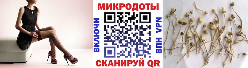 Купить где  Пыть-Ях  Галлюциногенные грибы мицелий 